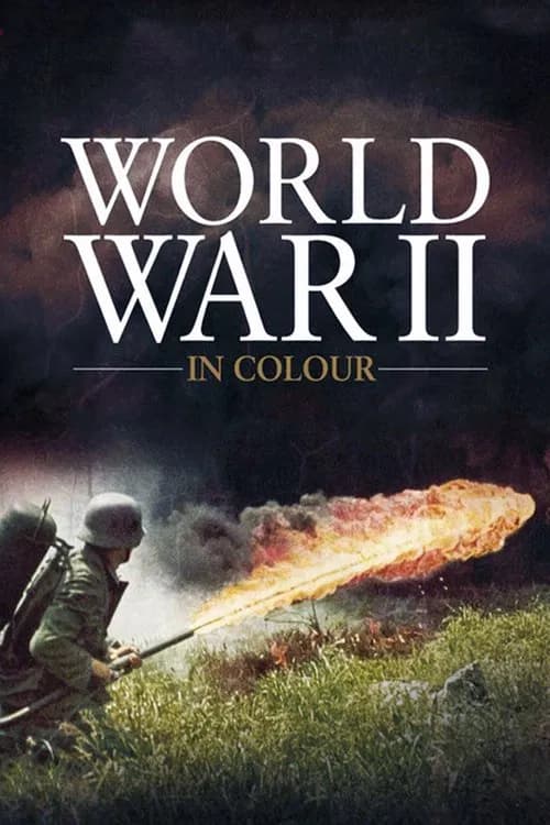 World War II in Colour poster