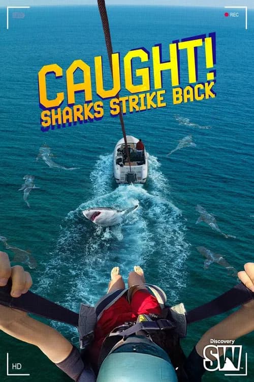 Caught! Sharks Strike Back poster