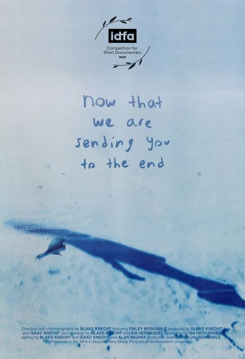 Now That We Are Sending You to The End poster