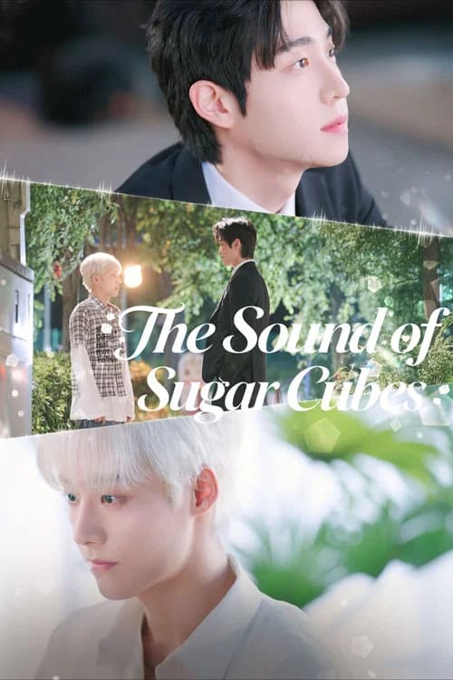 The Sound of Sugar Cubes poster