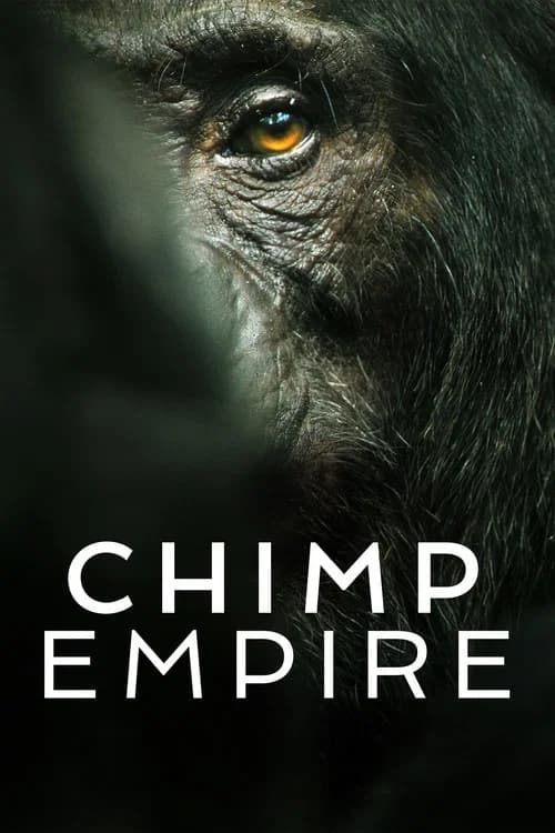 Chimp Empire poster