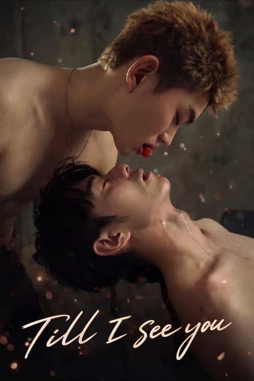 Till I See You poster