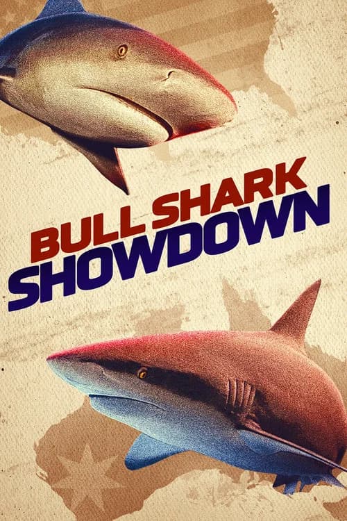 Bullshark Showdown poster