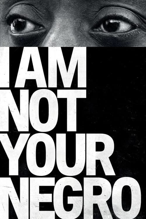 I Am Not Your Negro poster