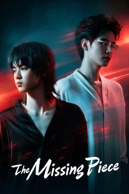 The Missing Piece poster