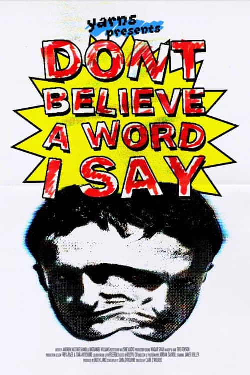 Don’t Believe A Word I Say poster