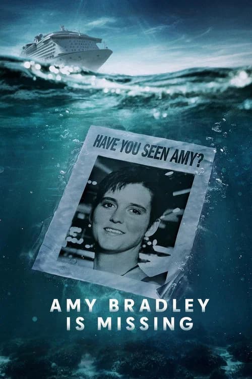Amy Bradley Is Missing poster