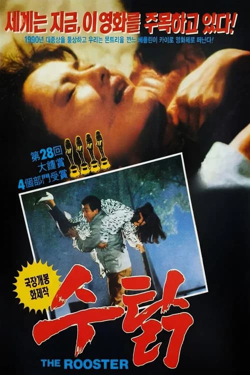 Rooster poster