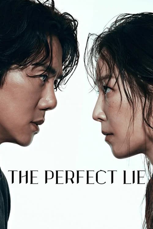 The Perfect Lie poster