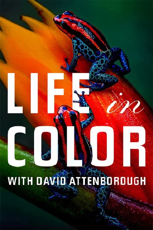 Attenborough's Life in Colour poster