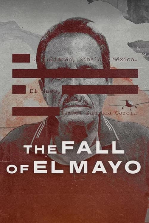 The Fall of El Mayo poster